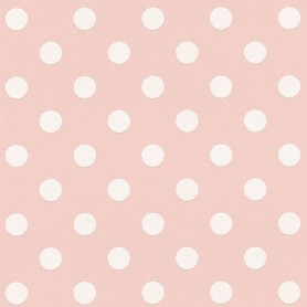 PAPIER PEINT BOYS & GIRL 6B 369882
