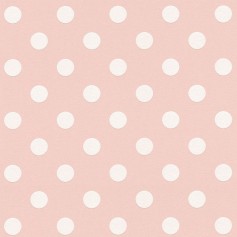 PAPIER PEINT BOYS & GIRL 6B 369882