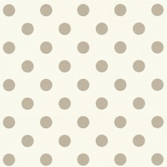 PAPIER PEINT BOYS & GIRL 5C 369342