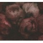 PAPIER PEINT AS-NEUE BUDE 2.0 Floral Rose - Noir