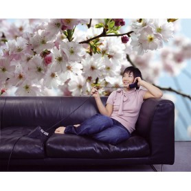 POSTER Photo murale "Verdure"