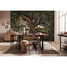 POSTER Photo murale "Olive Tree" 