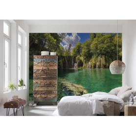 POSTER Photo murale "Olive Tree"