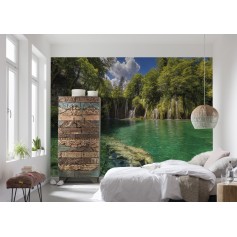 POSTER Photo murale "Olive Tree"