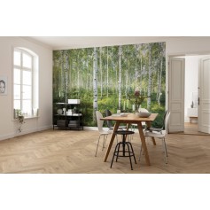 POSTER Photo murale Sunny Day