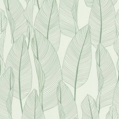 PAPIER PEINT  BANANIER VERT FOND BLANC - 51184714