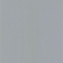 PAPIER PEINT UNI LISSE ARGENT - 11163909