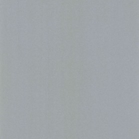 PAPIER PEINT UNI LISSE ARGENT - 11163909