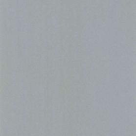 PAPIER PEINT UNI LISSE ARGENT - 11163909