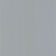 PAPIER PEINT UNI LISSE ARGENT - 11163909