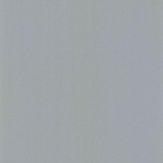 PAPIER PEINT UNI LISSE ARGENT - 11163909