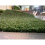 GAZON ARTIFICIEL 10 MM